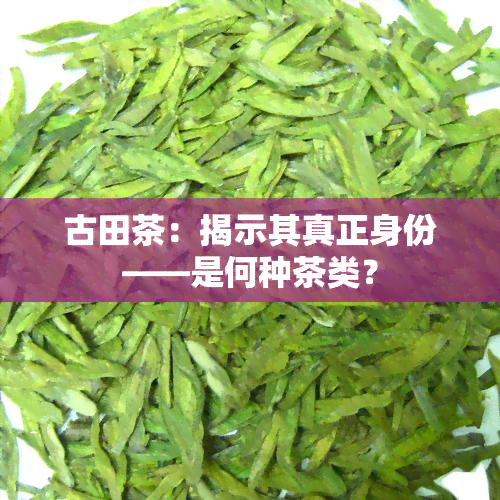 古田茶：揭示其真正身份——是何种茶类？