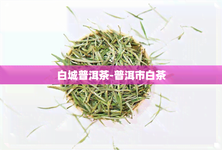 白城普洱茶-普洱市白茶