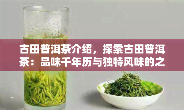 古田普洱茶介绍，探索古田普洱茶：品味千年历与独特风味的之旅