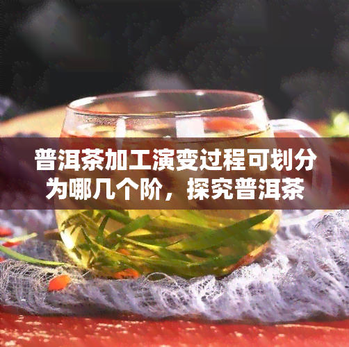 普洱茶加工演变过程可划分为哪几个阶，探究普洱茶的加工演变历程：划分出的几个关键阶