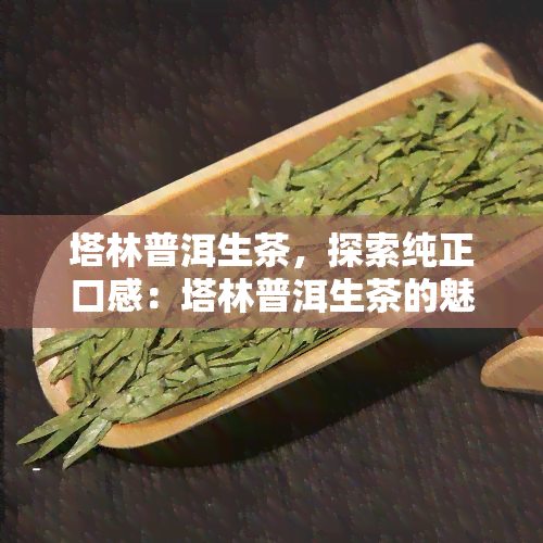 塔林普洱生茶，探索纯正口感：塔林普洱生茶的魅力与鉴