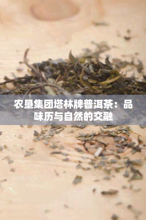 农垦集团塔林牌普洱茶：品味历与自然的交融