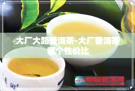 大厂大路普洱茶-大厂普洱茶哪个性价比