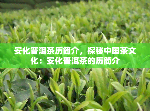 安化普洱茶历简介，探秘中国茶文化：安化普洱茶的历简介