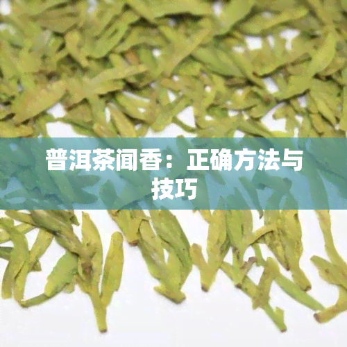 普洱茶闻香：正确方法与技巧