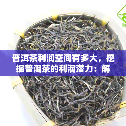 普洱茶利润空间有多大，挖掘普洱茶的利润潜力：解析其巨大商业价值