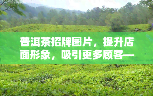 普洱茶招牌图片，提升店面形象，吸引更多顾客——选用普洱茶招牌图片