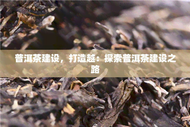 普洱茶建设，打造越：探索普洱茶建设之路