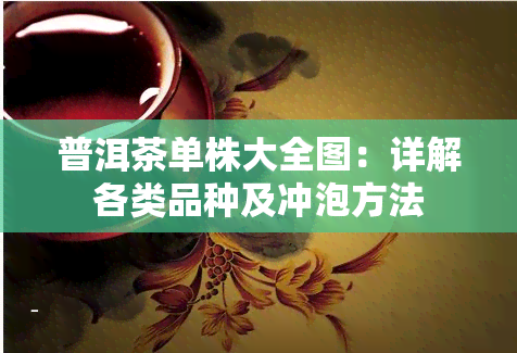 普洱茶单株大全图：详解各类品种及冲泡方法