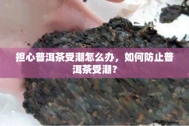 担心普洱茶受潮怎么办，如何防止普洱茶受潮？