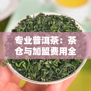 专业普洱茶：茶仓与加盟费用全攻略