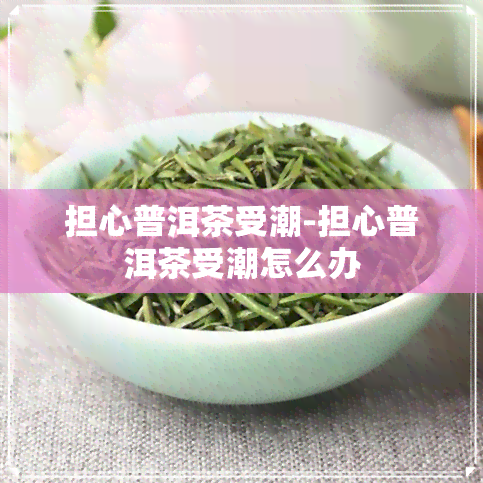 担心普洱茶受潮-担心普洱茶受潮怎么办