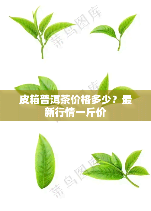 皮箱普洱茶价格多少？最新行情一斤价