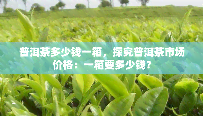 普洱茶多少钱一箱，探究普洱茶市场价格：一箱要多少钱？