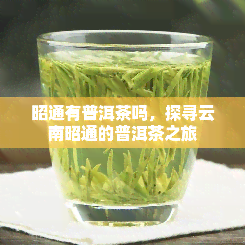 昭通有普洱茶吗，探寻云南昭通的普洱茶之旅