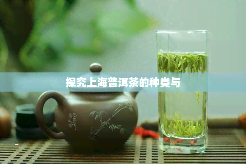 探究上海普洱茶的种类与