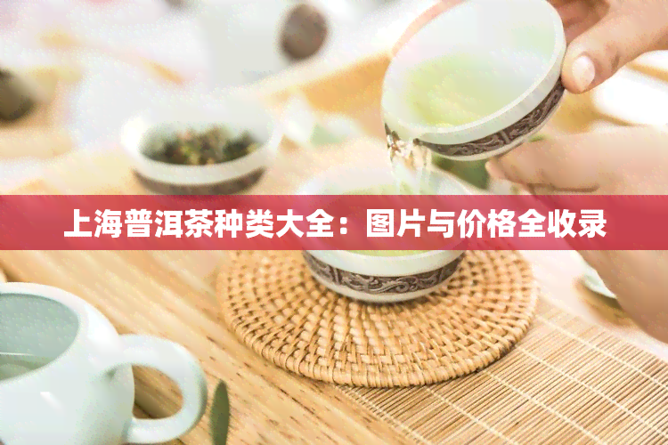 上海普洱茶种类大全：图片与价格全收录