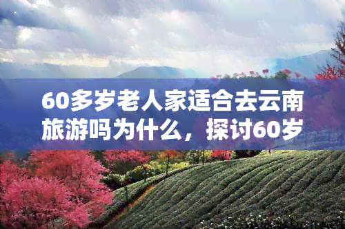 60多岁老人家适合去云南旅游吗为什么，探讨60岁以上老人是否适合前往云南旅游，原因分析