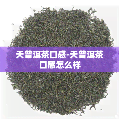 天普洱茶口感-天普洱茶口感怎么样