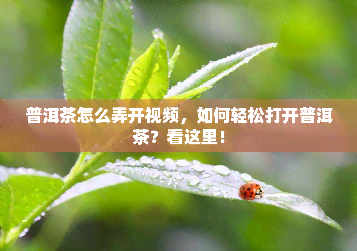 普洱茶怎么弄开视频，如何轻松打开普洱茶？看这里！