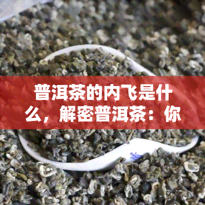 普洱茶的内飞是什么，解密普洱茶：你了解“内飞”吗？