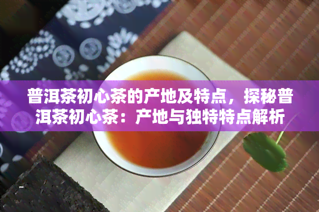 普洱茶初心茶的产地及特点，探秘普洱茶初心茶：产地与独特特点解析