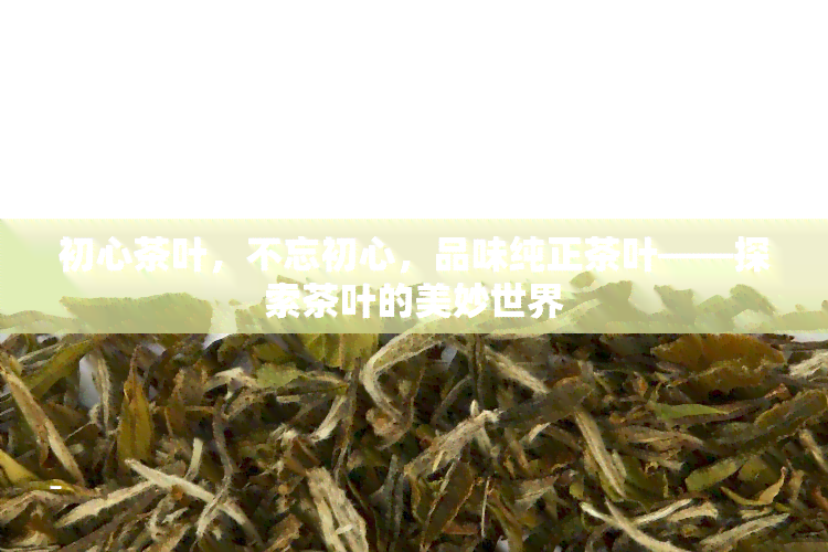 初心茶叶，不忘初心，品味纯正茶叶——探索茶叶的美妙世界