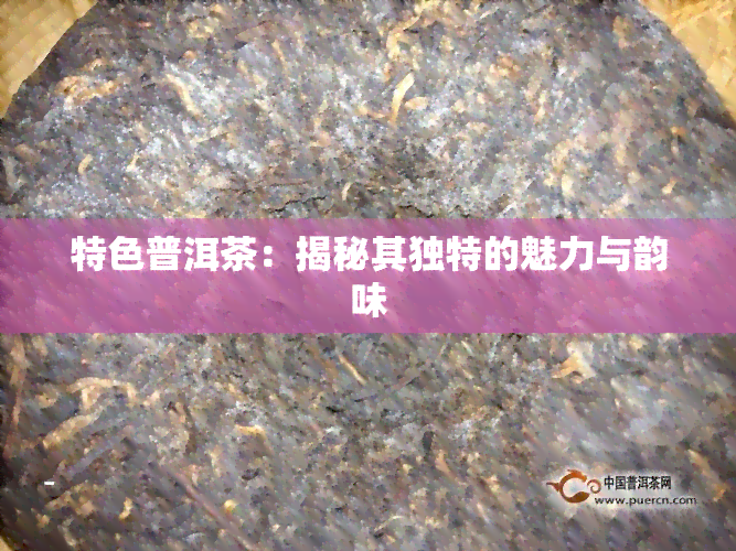 特色普洱茶：揭秘其独特的魅力与韵味