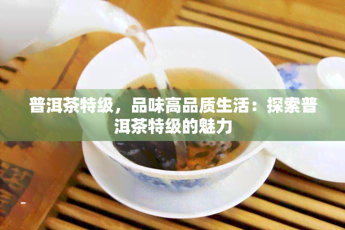 普洱茶特级，品味高品质生活：探索普洱茶特级的魅力