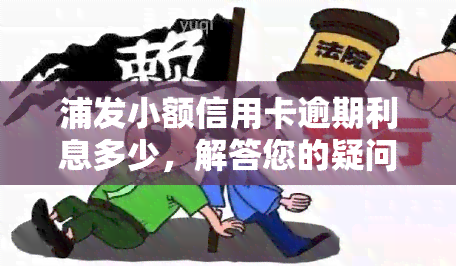 浦发小额信用卡逾期利息多少，解答您的疑问：浦发小额信用卡逾期利息计算方法