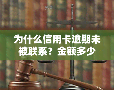 为什么信用卡逾期未被联系？金额多少会立案？