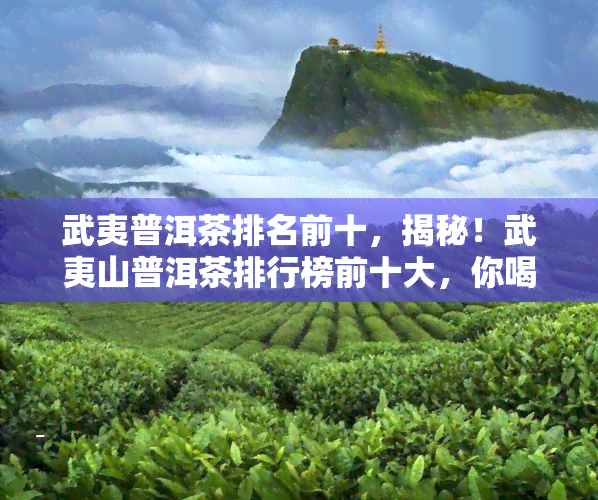 武夷普洱茶排名前十，揭秘！武夷山普洱茶排行榜前十大，你喝过几个？