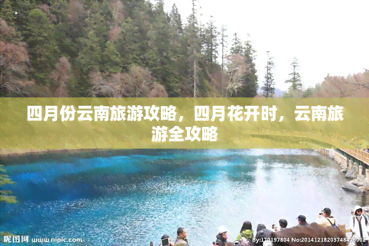 四月份云南旅游攻略，四月花开时，云南旅游全攻略