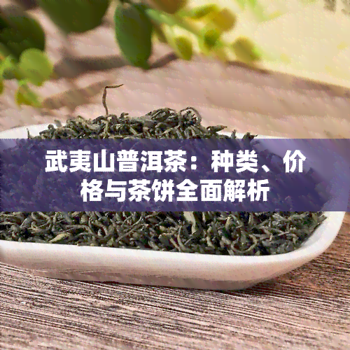 武夷山普洱茶：种类、价格与茶饼全面解析