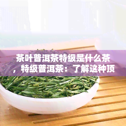 茶叶普洱茶特级是什么茶，特级普洱茶：了解这种顶级茶叶的特质和魅力