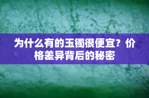 为什么有的玉镯很便宜？价格差异背后的秘密