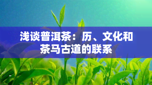 浅谈普洱茶：历、文化和茶马古道的联系