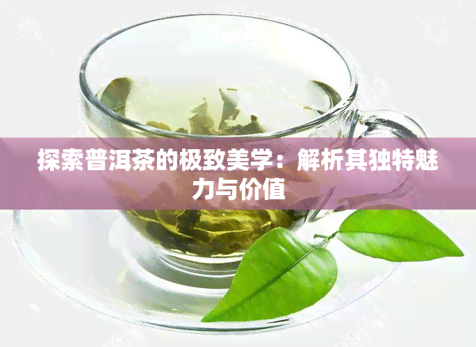 探索普洱茶的极致美学：解析其独特魅力与价值