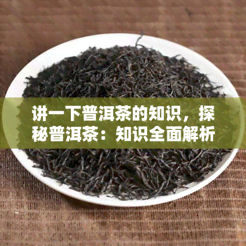 讲一下普洱茶的知识，探秘普洱茶：知识全面解析