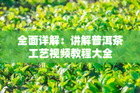 全面详解：讲解普洱茶工艺视频教程大全