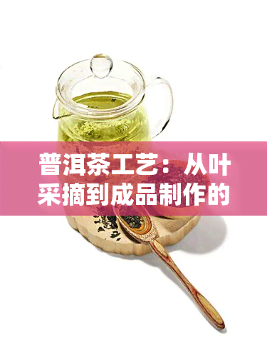 普洱茶工艺：从叶采摘到成品制作的全过程