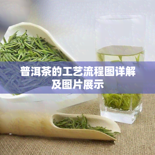 普洱茶的工艺流程图详解及图片展示