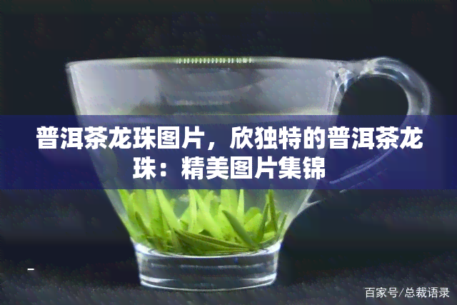 普洱茶龙珠图片，欣独特的普洱茶龙珠：精美图片集锦