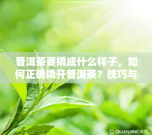 普洱茶要撬成什么样子，如何正确撬开普洱茶？技巧与注意事分享