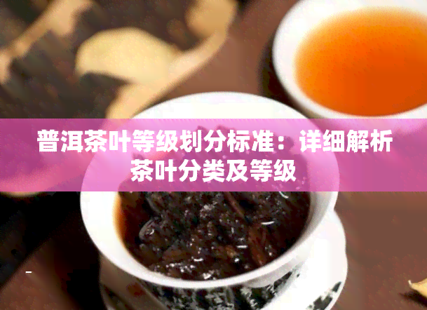 普洱茶叶等级划分标准：详细解析茶叶分类及等级