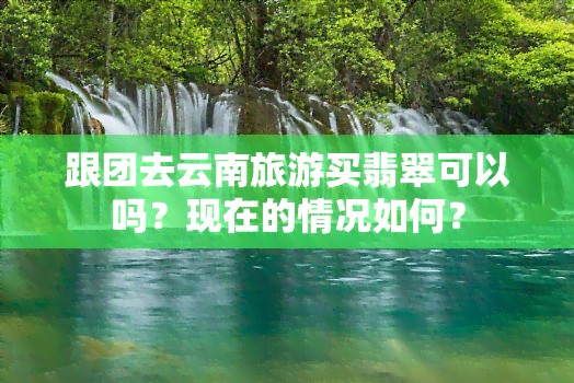 跟团去云南旅游买翡翠可以吗？现在的情况如何？