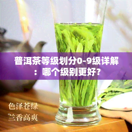 普洱茶等级划分0-9级详解：哪个级别更好？