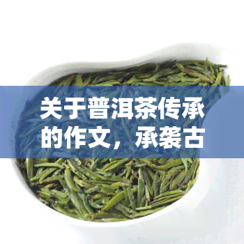 关于普洱茶传承的作文，承袭古韵，品味普洱：探寻中国茶文化的传承之路