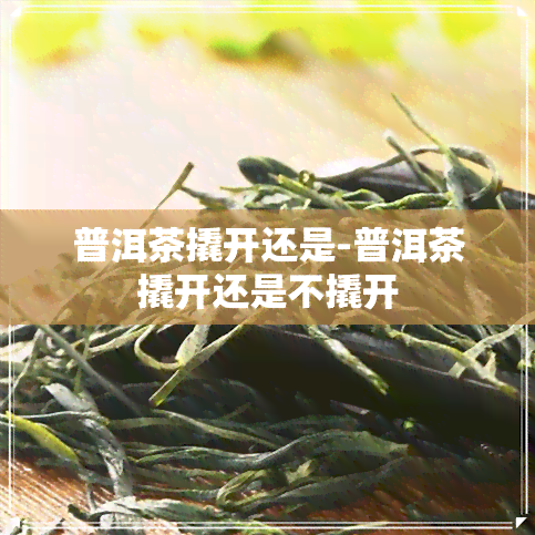 普洱茶撬开还是-普洱茶撬开还是不撬开