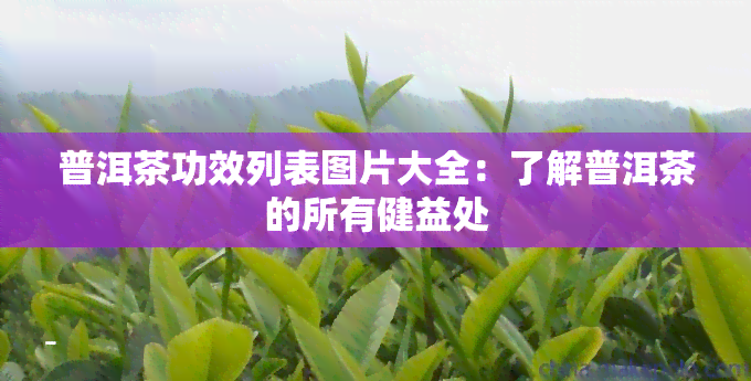 普洱茶功效列表图片大全：了解普洱茶的所有健益处